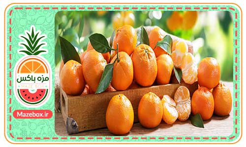 قیمت نارنگی تازه